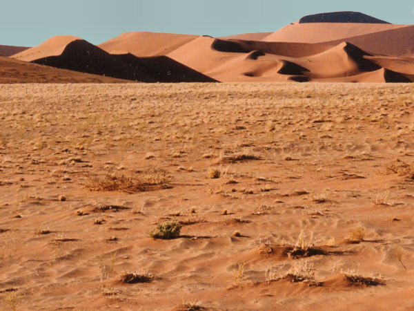 Please wait for first image to load here. Then place mouse over each image name to the left.